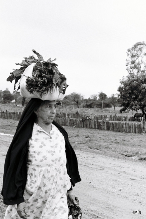 AÑO 1972 - BLANCO Y NEGRO - VIDA CAMPESINA EN PARAGUAY (JOSÉ MARÍA BLANCH)